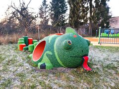 Dobruška (Královéhradecký kraj)