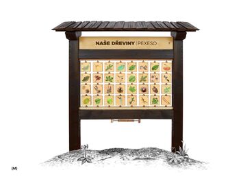 Naučná tabule - Pexeso Naše dřeviny ( M, L )