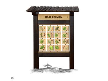 Tabulky poznání - Naše dřeviny ( M, L )