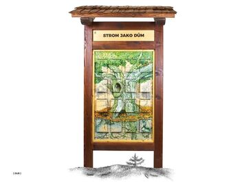 Naučná tabule - Strom jako dům ( dub, buk )