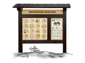Naučná tabule - Medonosné rostliny